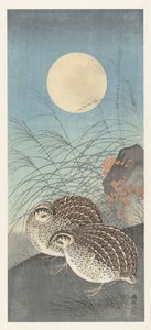 Zwei Wachteln bei Vollmond