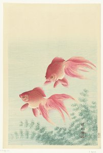 Zwei Schleierschwanz-Goldfische von Ohara Koson