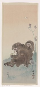 Zwei Affen mit einem Schmetterling von Ohara Koson