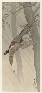 Fliegender Fasan von Ohara Koson