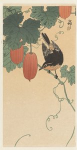 Vogel und Kaki