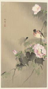 Vogel und Raupe