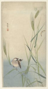 Vogel und Schmetterling von Ohara Koson
