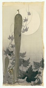 Wilde Gurke mit Vollmond