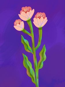 Lebendiges florales Trio von Olga Skomorokhova