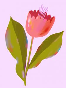 Lebendige pinke Blüte von Olga Skomorokhova