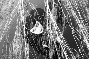 Ladra, 2023 (digitale Mischtechnik) von Olivia Gozzano
