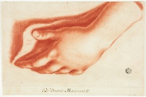 Gipsabdruck der linken Hand