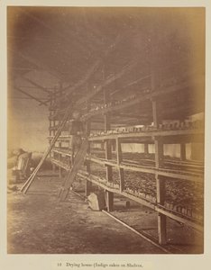 Trocknungshaus (Indigokuchen auf Regalen) von Oscar Jean Baptiste Mallitte