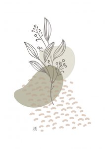 Botanische Linienstudie