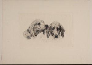 Zwei Hundeköpfe