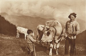 Auf der Alm von Otto Ballerstedt