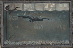 Tauchender Kormoran, 1900 von Otto H. Bacher