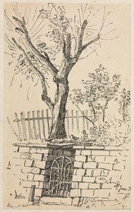 Baum auf einer Steinmauer, Cleveland