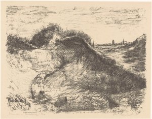 Dünen auf Ameland