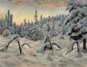 Fichtenwald nach Schneefall
