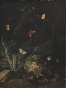 Ein Waldboden mit einer Distel, einer Schlange, einer Eidechse und Schmetterlingen