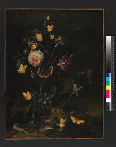 Blumen, Insekten und Reptilien, 1673