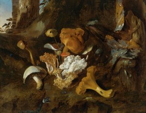 Waldboden-Stillleben mit Pilzen, Schmetterlingen und einer Schlange