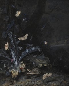 Stillleben mit Distel und Schlange