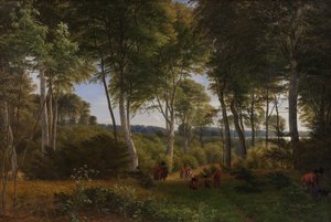 Delhoved Wald nahe dem Skarre-See, Seeland. Nachmittagslicht