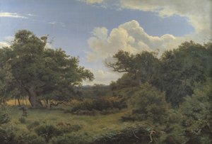 Eichen in Nordskoven bei Jægerspris, Seeland von P.C. Skovgaard
