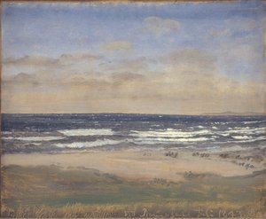 Der Strand bei Rågeleje