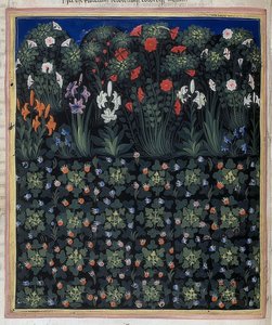 Garten (Aus: Regia Carmina von Convenevole da Prato)