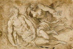 Venus entdeckt den toten Adonis von Palma Il Giovane