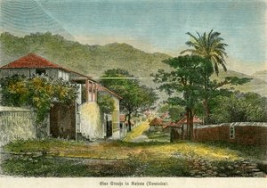 Eine Straße in Roseau, Dominica, ca. 1880 von Pann