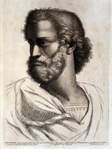 Aristoteles von Paolo Fidanza