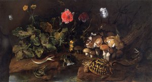 Stillleben mit einer Schlange, Fröschen, Schildkröte und Eidechse, 1656-1673
