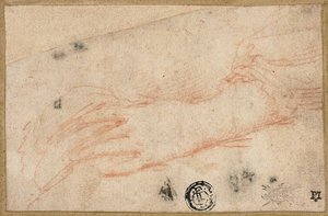 Skizze der linken Hand und des Handgelenks