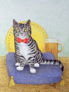 Mr. Wonderful