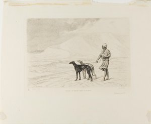 Staffel von Hunden in der Wüste