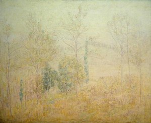 Toskanische Landschaft im frühen Frühling mit grünen Pappeln