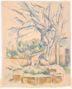 Pistazienbaum am Château Noir von Paul Cézanne