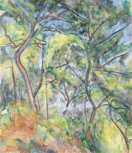 Unterholz von Paul Cézanne