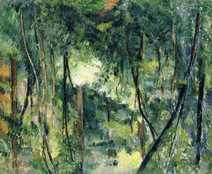 Unterholz, ca. 1885
