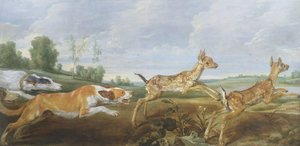 Eine Jagdszene: Hunde jagen zwei Faune
