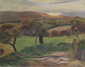 Landschaft aus der Bretagne