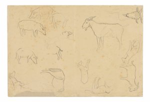 Skizzen verschiedener Tiere und Kopf (recto), Skizzen eines Kopfes, Figur im Profil, anatomische Details und Tiere (verso)
