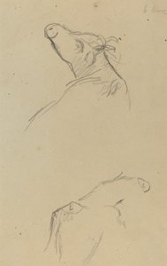 Zwei Kuhköpfe [verso] von Paul Gauguin