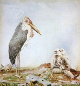 Heiliger Marabu