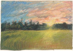 Eine Wiese bei Sonnenuntergang