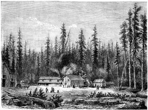Riesenmammutbaumwald, Kalifornien, 19. Jahrhundert von Paul Huet