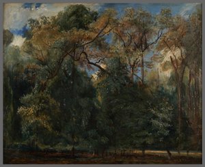 Die Ulmen von Saint-Cloud von Paul Huet