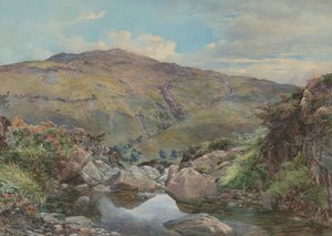 Kopf von Loch Lomond, mit Ben Lomond in der Ferne von Paul Jacob Naftel