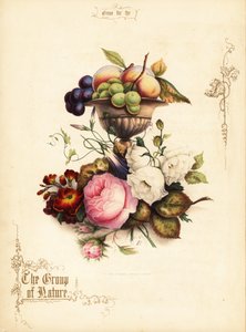 Blumenstrauß aus Rosen mit Trauben und Pfirsichen in Vase