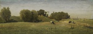 Landschaft bei Abcoude